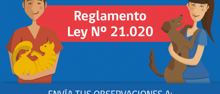 Subsecretario Cifuentes anunció cambios a reglamento sobre Ley Nº 21.020