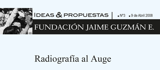 Radiografía al Auge