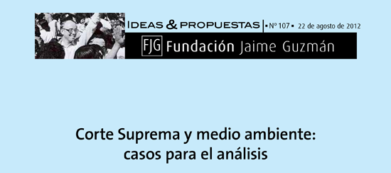 Corte Suprema y medio ambiente: casos para el análisis