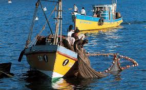 Héctor Mery expone sobre proyecto que declara nulidad de la ley de pesca, N°20.657