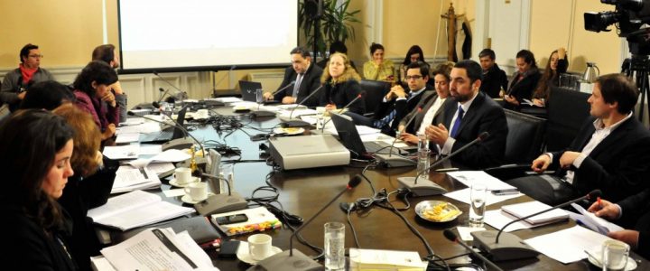 Fundación Jaime Guzmán expone ante la Comisión de Educación de la Cámara