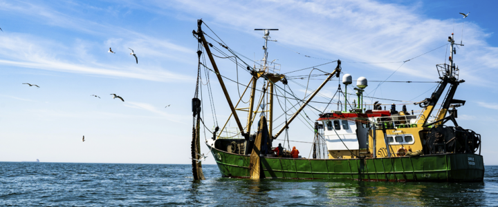 Nueva Ley General de Pesca