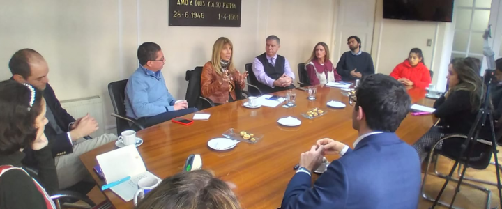 Ximena Rincón | El proyecto político de Demócratas